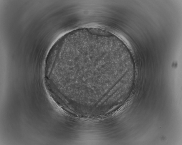X0000095511000200801111409