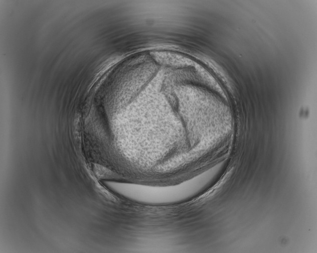 X0000095511001200801111409