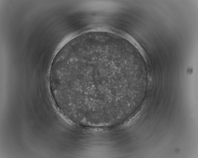X0000095511002200801111409