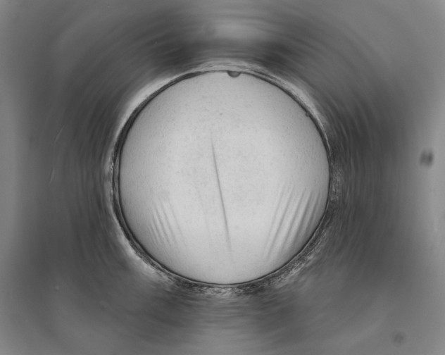 X0000095511003200801111409