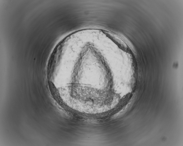 X0000095511004200801111409