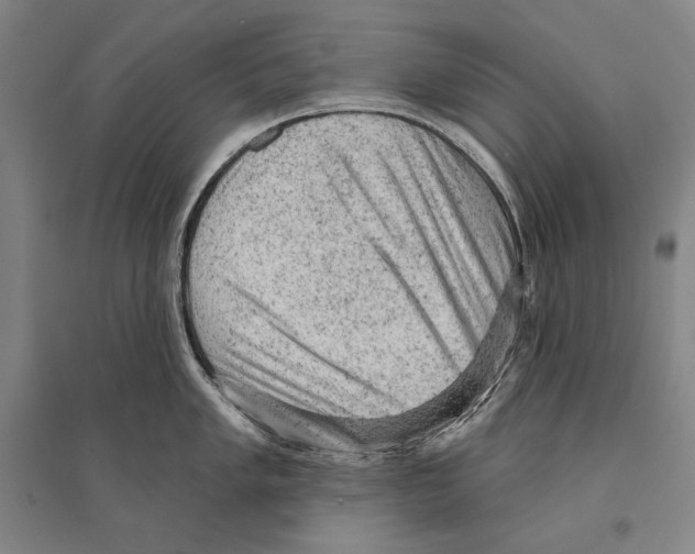 X0000095511005200801111409