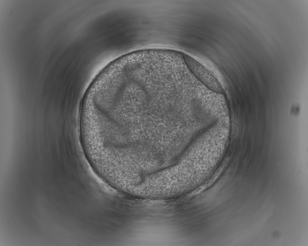 X0000095511006200801111409