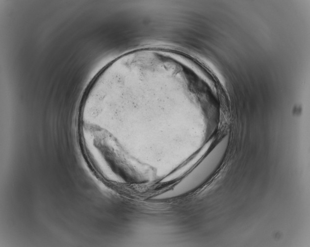 X0000095511007200801111409