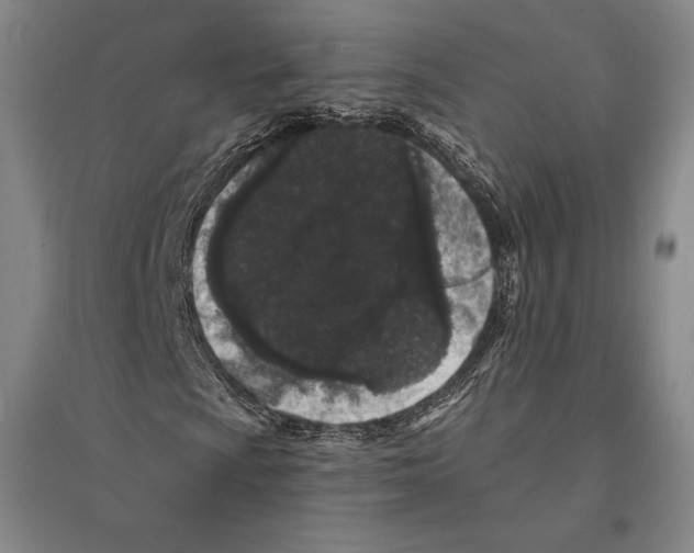 X0000095511009200801111408