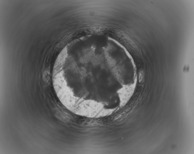 X0000095511011200801111408