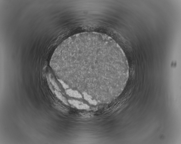 X0000095511012200801111408