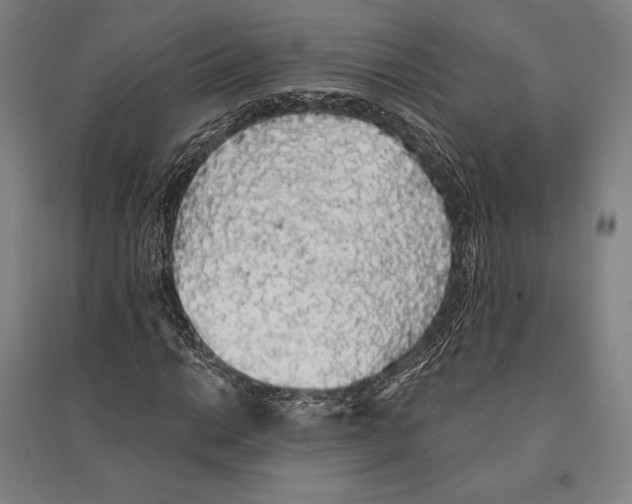 X0000095511014200801111408