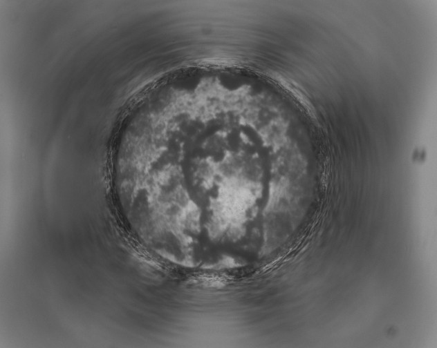 X0000095511015200801111408