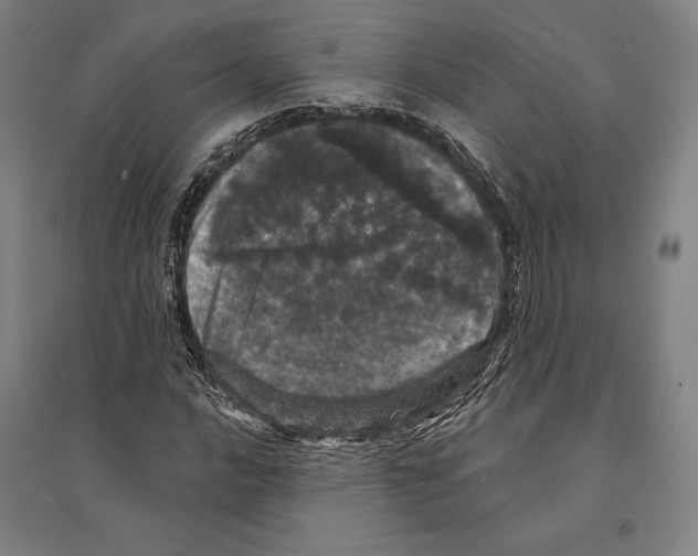 X0000095511016200801111408