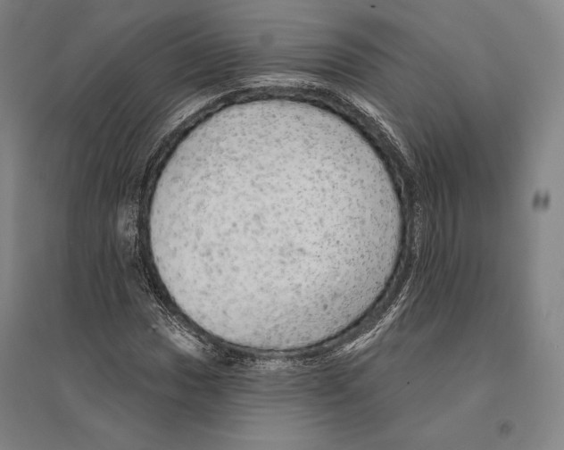 X0000095511017200801111408