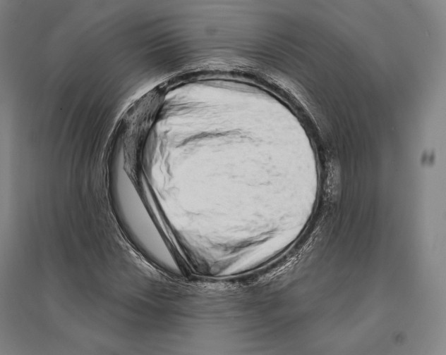 X0000095511018200801111408