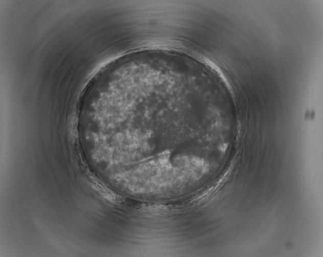 X0000095511019200801111408