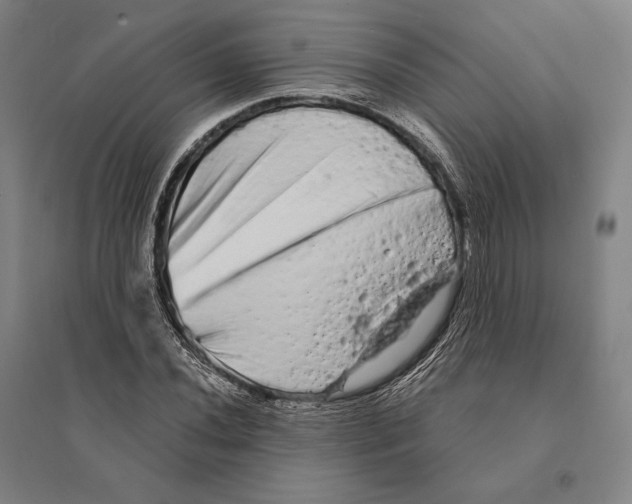 X0000095511020200801111408