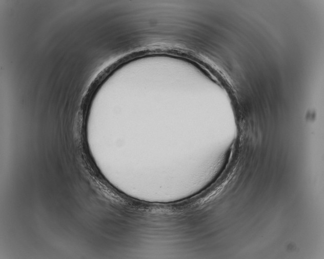 X0000095511021200801111408