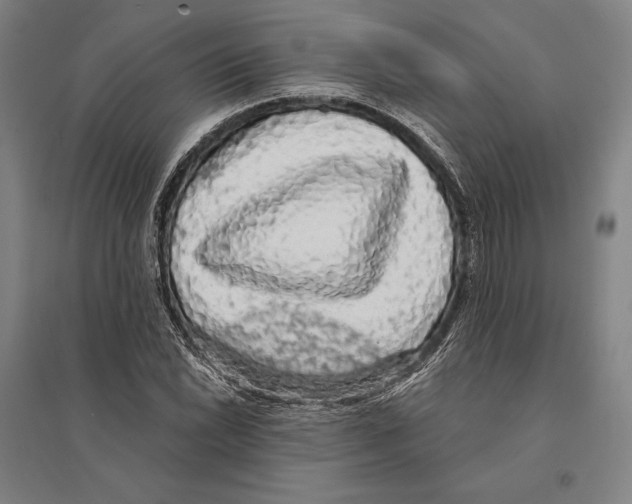 X0000095511022200801111408