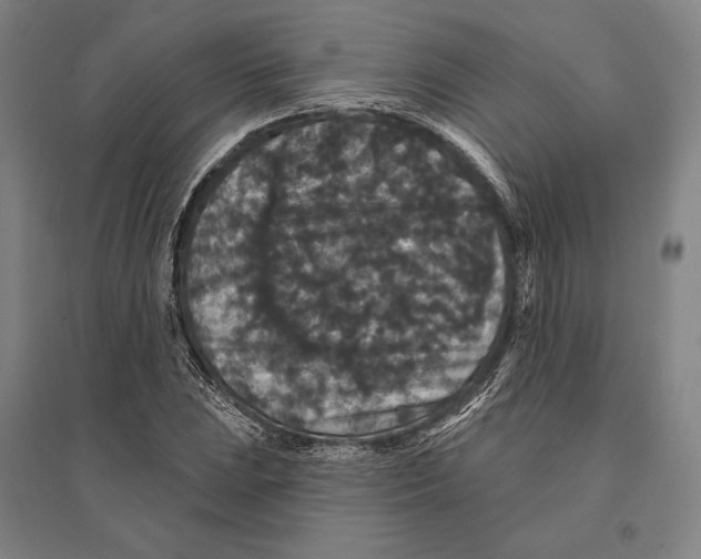 X0000095511023200801111408