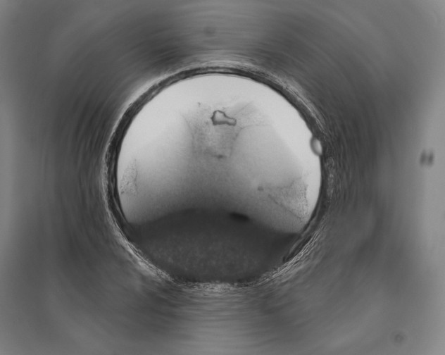 X0000095511024200801111408