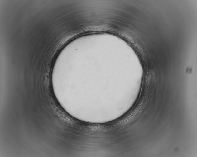 X0000095511025200801111408