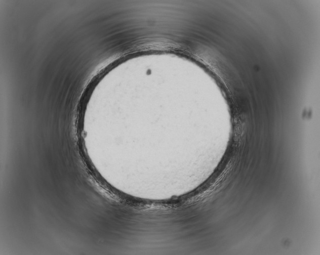 X0000095511026200801111408