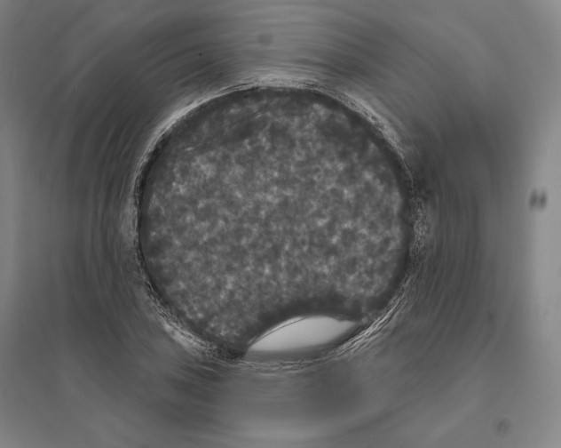 X0000095511027200801111408