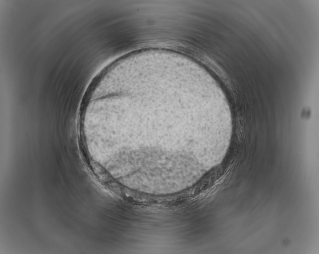 X0000095511028200801111408