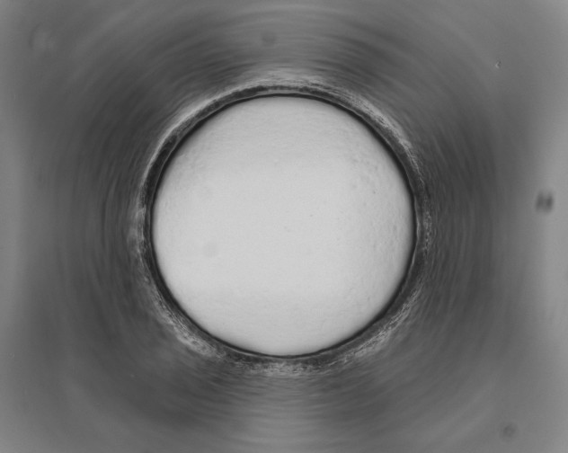 X0000095511029200801111408