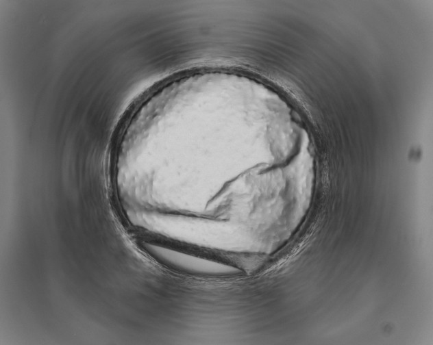 X0000095511030200801111408
