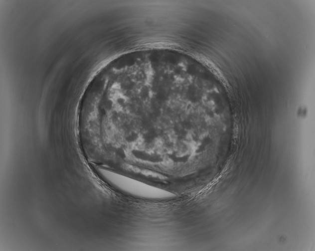 X0000095511031200801111409