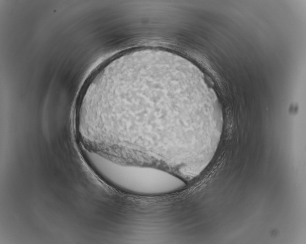 X0000095511032200801111409