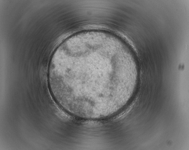 X0000095511033200801111409