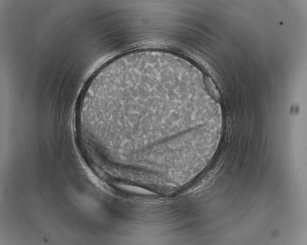 X0000095511034200801111409