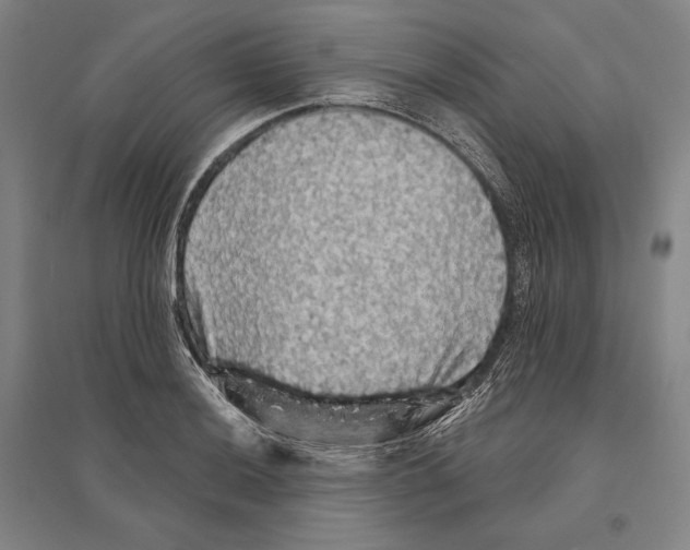 X0000095511036200801111409