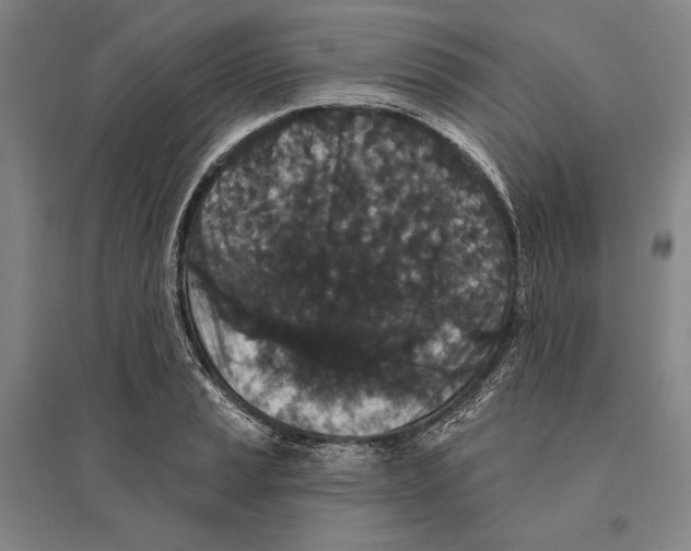 X0000095511037200801111409