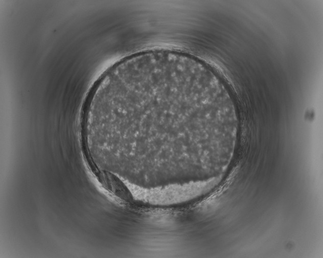X0000095511038200801111409