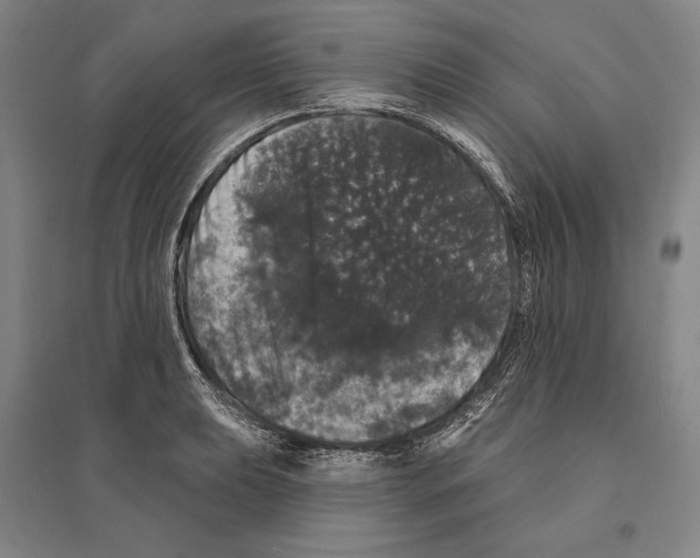 X0000095511039200801111409