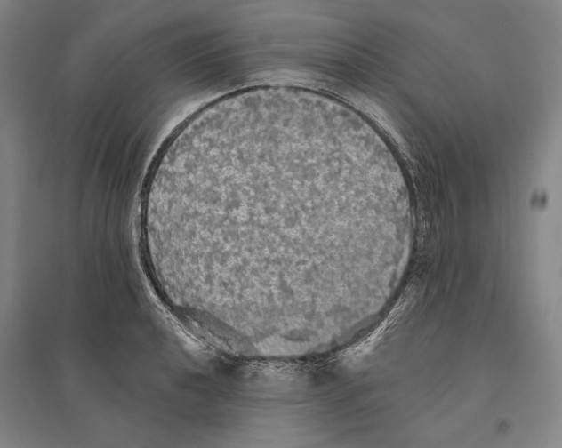 X0000095511040200801111409