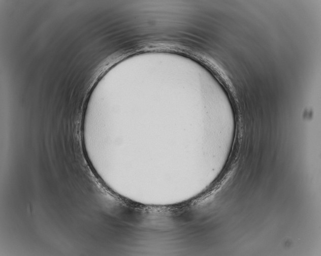X0000095511041200801111409