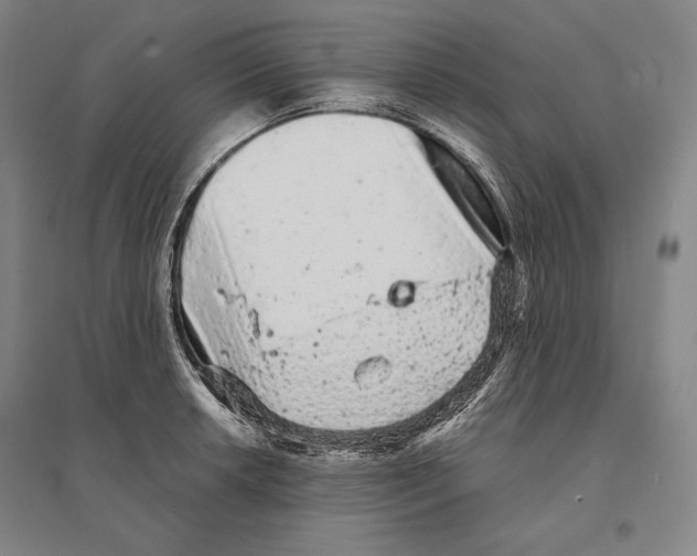 X0000095511042200801111409