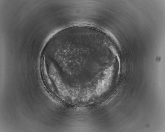 X0000095511043200801111409