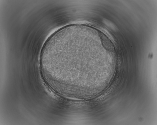 X0000095511044200801111409