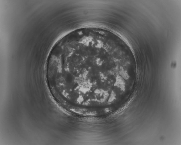 X0000095511045200801111409