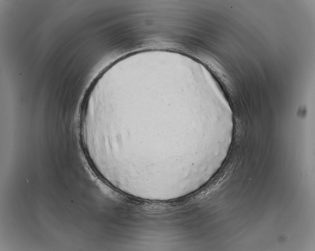 X0000095511046200801111409
