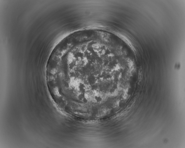 X0000095511047200801111409