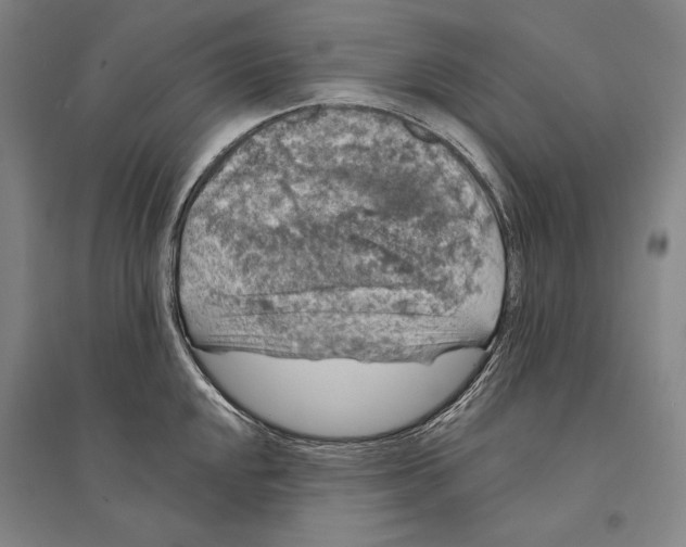 X0000095511048200801111409