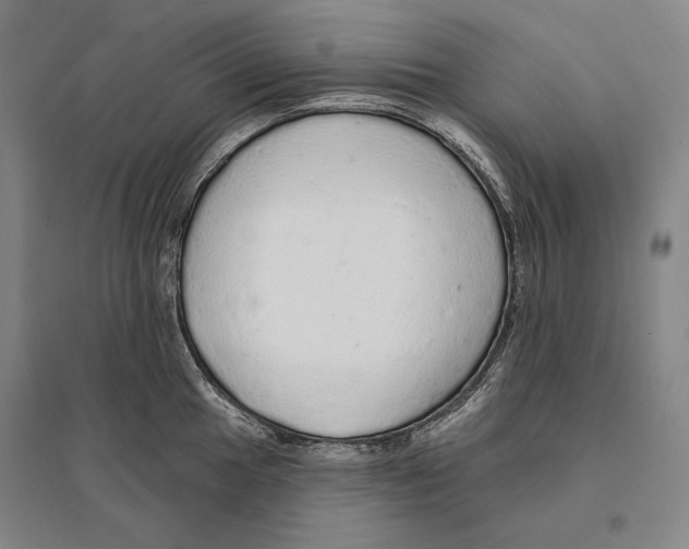 X0000095511049200801111409