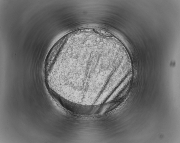 X0000095511050200801111409