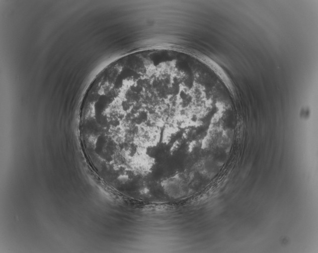 X0000095511051200801111409
