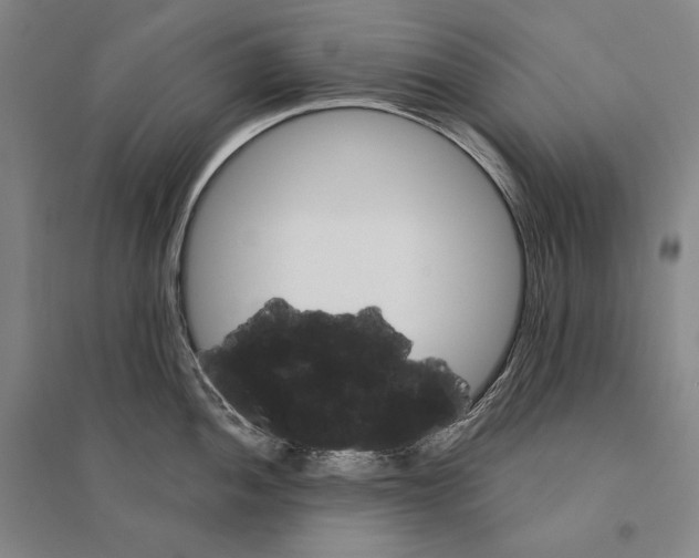 X0000095511052200801111409