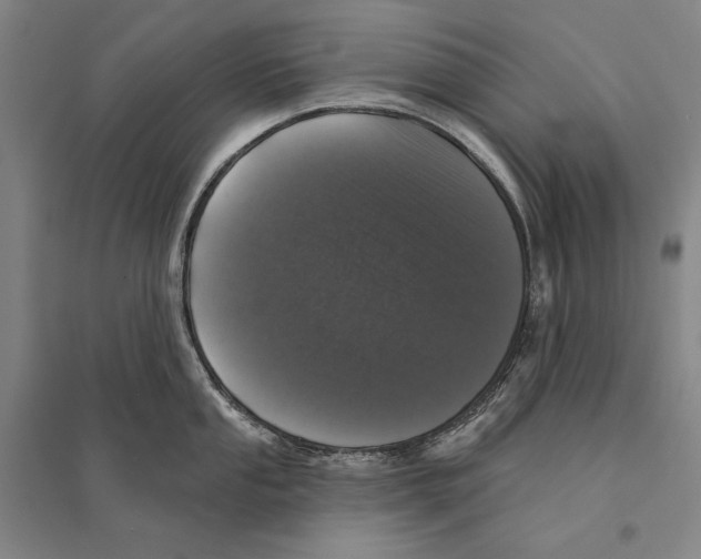X0000095511053200801111409